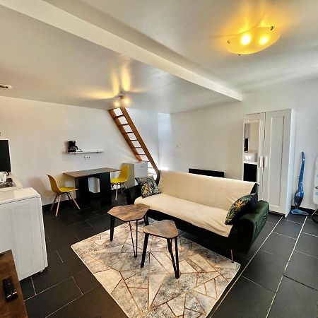 Studios Au Quartier Pavillonnaire Rue D Ambert Orleans Luaran gambar